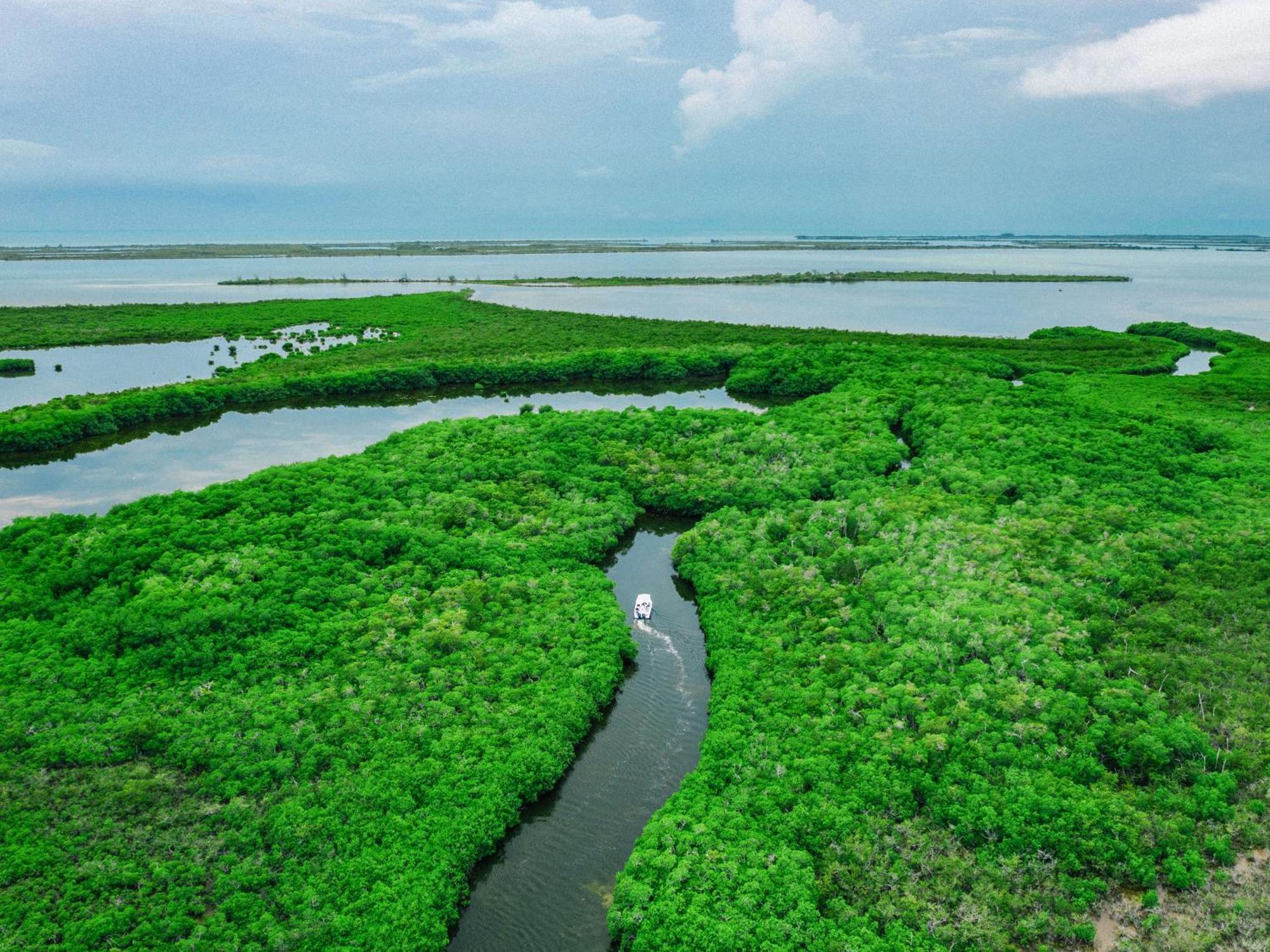 Orchid Bay Resort Corozal Eksteriør bilde