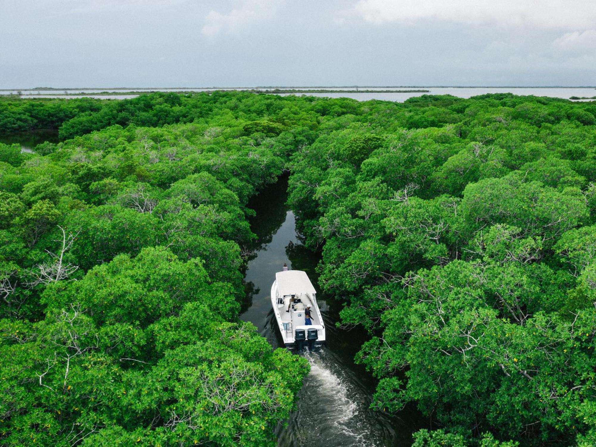 Orchid Bay Resort Corozal Eksteriør bilde