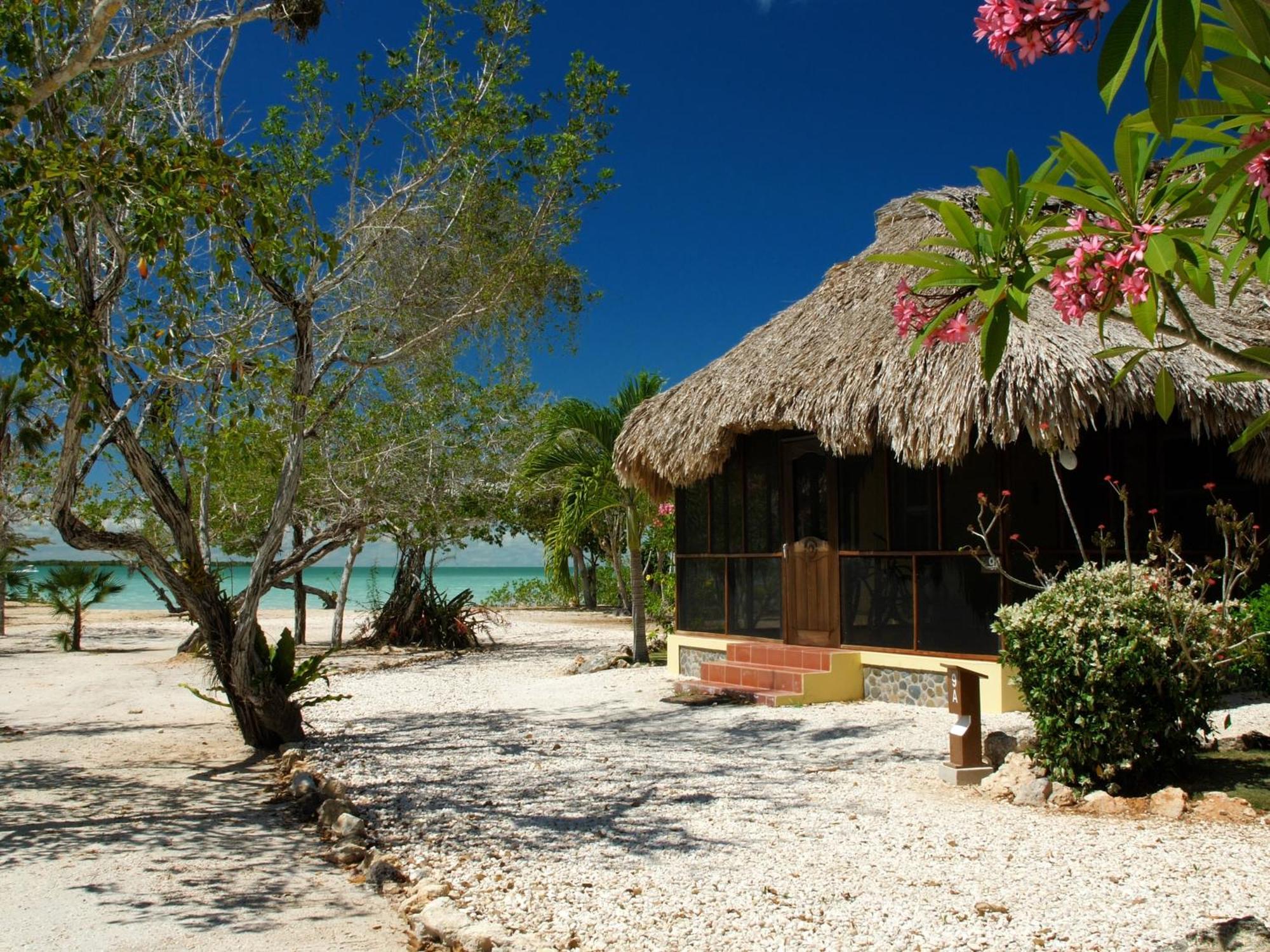 Orchid Bay Resort Corozal Rom bilde